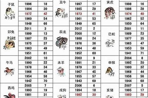 1971年属相|1971年出生属什么生肖 1971年属猪是什么命